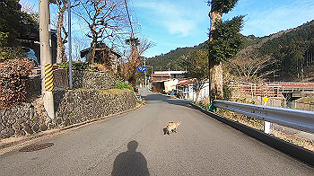 gx014378.mp4_snapshot_02.28_thumb.jpg