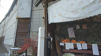 gx014383.mp4_snapshot_03.48_thumb.jpg