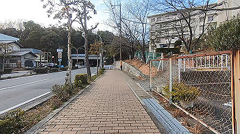 gx014737.mp4_snapshot_07.33_thumb.jpg