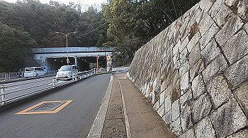 gx014737.mp4_snapshot_07.42_thumb.jpg