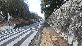 gx014737.mp4_snapshot_07.48_thumb.jpg
