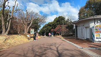gx014739.mp4_snapshot_00.04_thumb.jpg