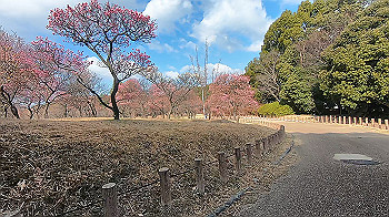 gx014739.mp4_snapshot_00.38_thumb.jpg