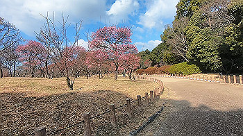 gx014739.mp4_snapshot_00.41_thumb.jpg