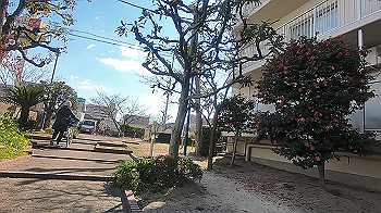 gx014766.mp4_snapshot_01.54_thumb.jpg