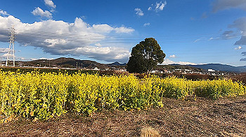 gx014883.mp4_snapshot_01.40_thumb.jpg