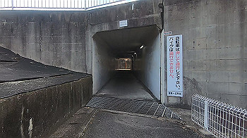 gx014886.mp4_snapshot_05.14_thumb.jpg