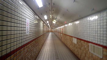 p2110252_thumb.jpg