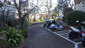 p2110273_thumb.jpg