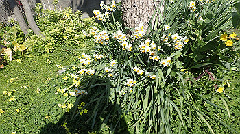 p2110275_thumb.jpg