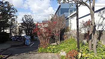 p2110276_thumb.jpg
