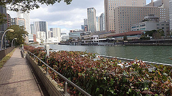 p2110321_thumb.jpg