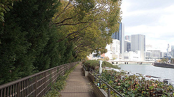 p2110324_thumb.jpg