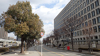 p2110375_thumb.jpg