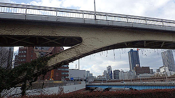 p2110392_thumb.jpg
