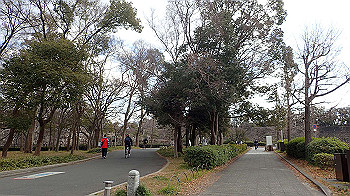p2110394_thumb.jpg