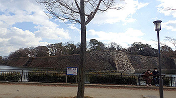 p2110398_thumb.jpg