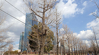 p2110399_thumb.jpg