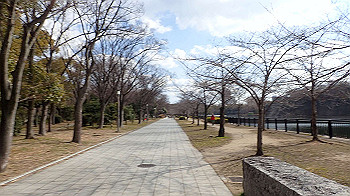p2110405_thumb.jpg