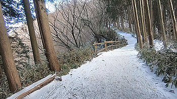 gx014893.mp4_snapshot_00.00_thumb.jpg