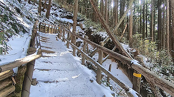 gx015108.mp4_snapshot_01.15_thumb.jpg