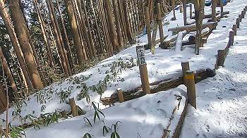 gx015110.mp4_snapshot_02.23_thumb.jpg