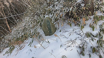gx015111.mp4_snapshot_01.06_thumb.jpg