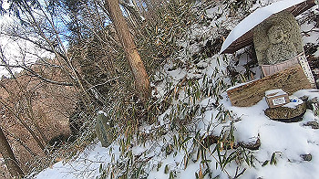 gx015111.mp4_snapshot_01.14_thumb.jpg