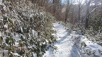 gx015112.mp4_snapshot_00.00_thumb.jpg