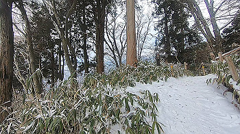 gx015112.mp4_snapshot_03.08_thumb.jpg