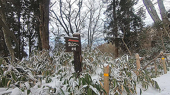gx015112.mp4_snapshot_03.16_thumb.jpg