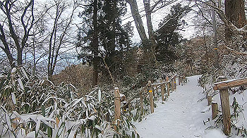 gx015112.mp4_snapshot_03.17_thumb.jpg