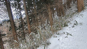 gx015113.mp4_snapshot_00.50_thumb.jpg