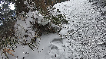 gx015113.mp4_snapshot_02.14_thumb.jpg