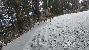 gx015113.mp4_snapshot_02.22_thumb.jpg