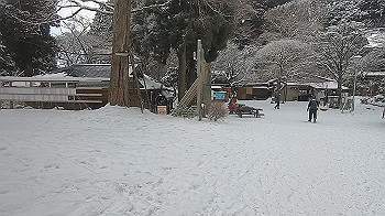 gx015113.mp4_snapshot_03.35_thumb.jpg