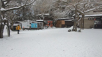 gx015113.mp4_snapshot_03.58_thumb.jpg
