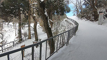 gx015113.mp4_snapshot_04.41_thumb.jpg