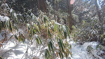 gx015114.mp4_snapshot_02.54_thumb.jpg