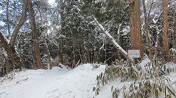 gx015115.mp4_snapshot_00.00_thumb.jpg