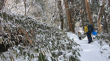 gx015115.mp4_snapshot_01.25_thumb.jpg
