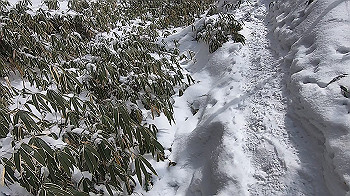 gx015115.mp4_snapshot_03.48_thumb.jpg