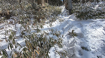 gx015115.mp4_snapshot_04.20_thumb.jpg