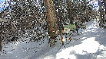 gx015115.mp4_snapshot_07.20_thumb.jpg