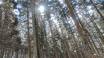 gx015116.mp4_snapshot_00.04_thumb.jpg