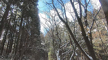 gx015117.mp4_snapshot_00.00_thumb.jpg