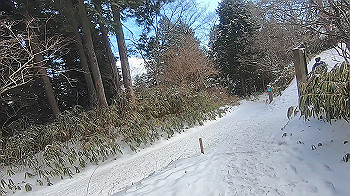 gx015118.mp4_snapshot_04.06_thumb.jpg