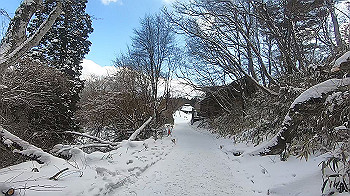 gx015121.mp4_snapshot_00.00_thumb.jpg