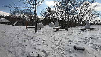 gx015121.mp4_snapshot_00.39_thumb.jpg