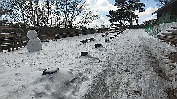 gx015121.mp4_snapshot_00.45_thumb.jpg